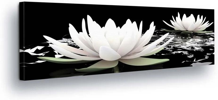 GLIX Tablou - Black and White Water Lily II 45x145 cm