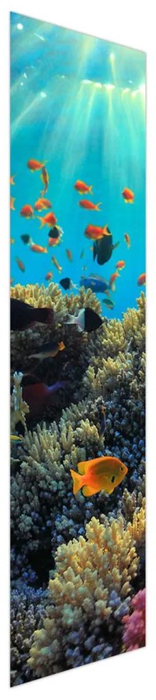 Fotojaluzele R012161R42150 (42x150 cm)