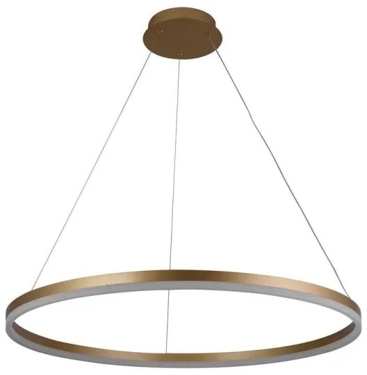 Lustră LED dimabilă pe cablu LED/55W/230V 3000-6500K + telecomandă