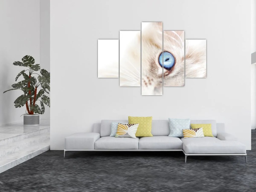 Tablou - Pisicuță (150x105 cm)