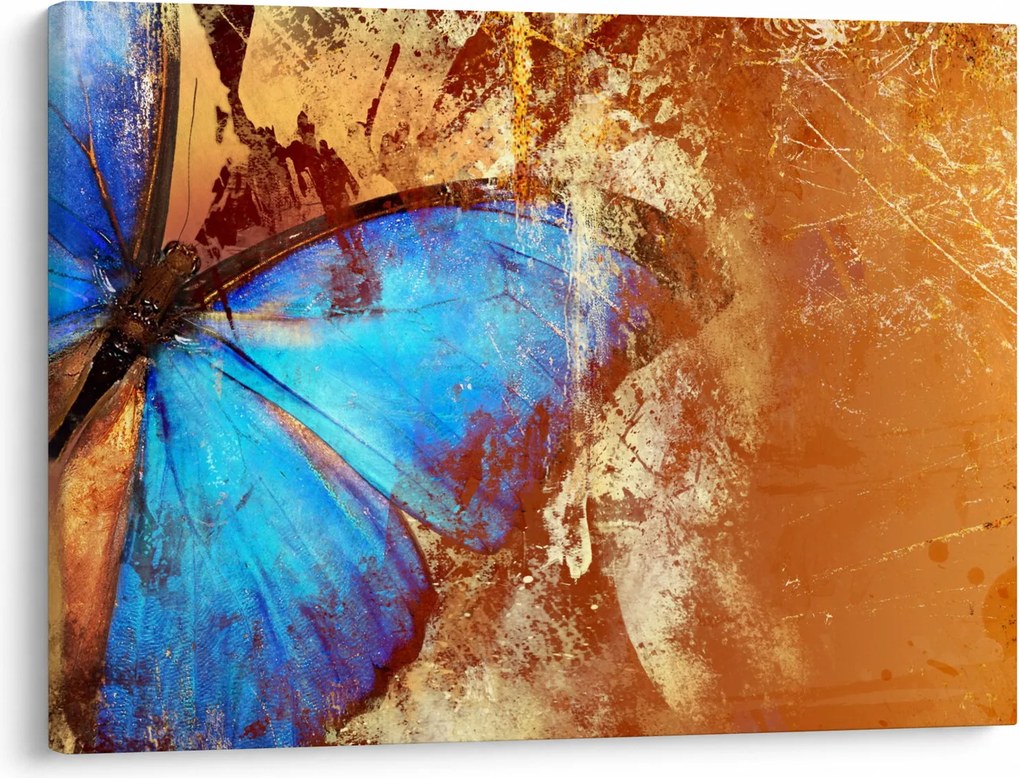 Tablou - Fluture albastru (70x50 cm)