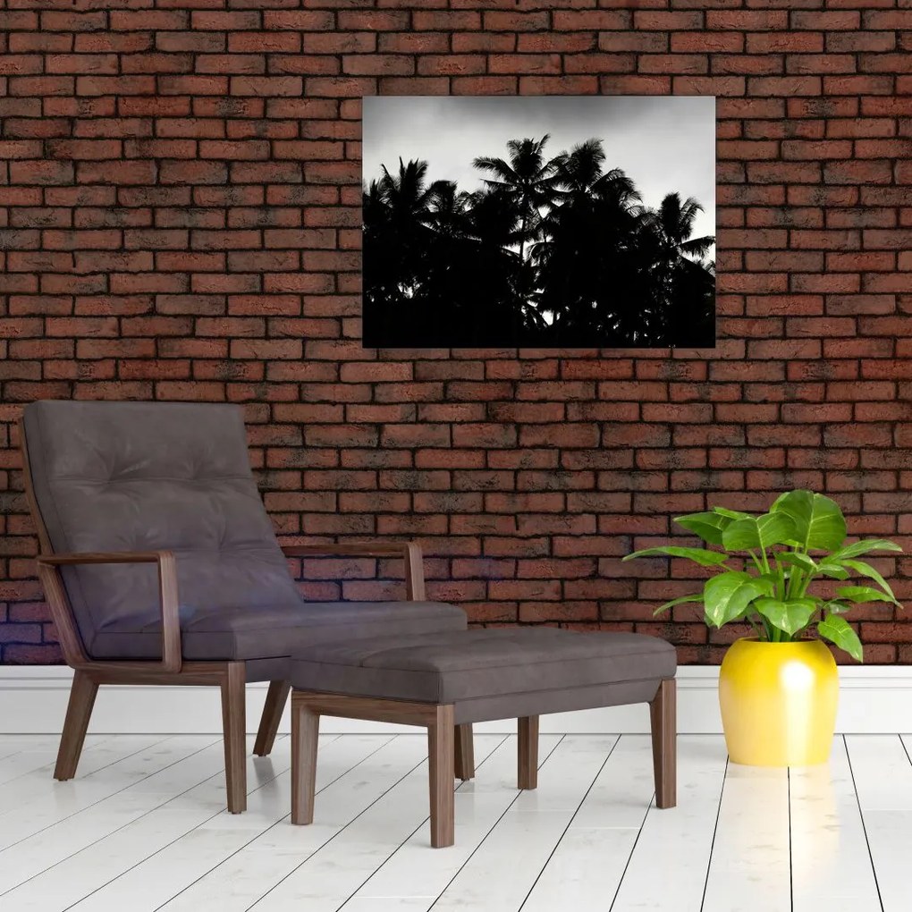 Tablou alb negru - palmieri (70x50 cm)