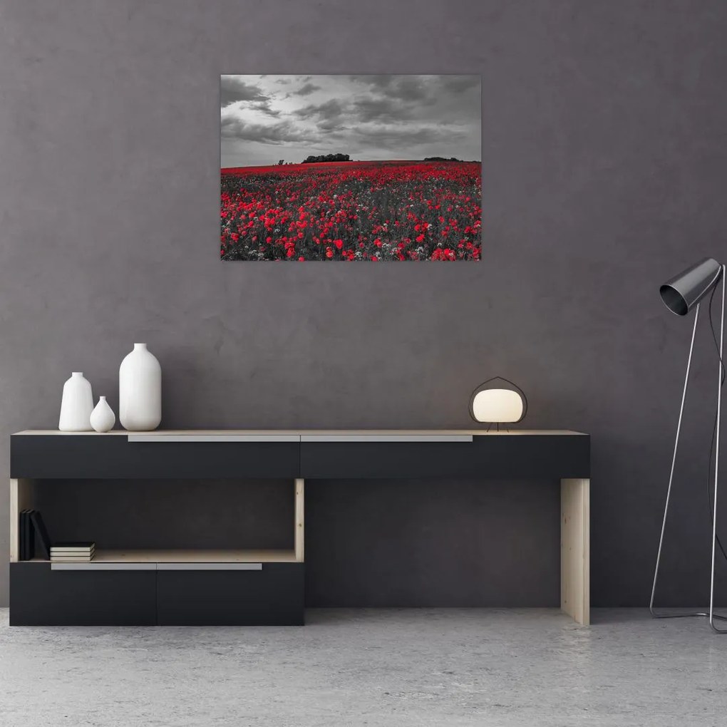 Tablou cu maci (70x50 cm)