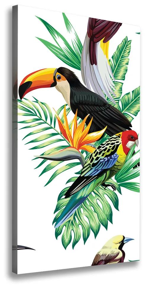 Tablou pe pânză canvas Păsări tropicale