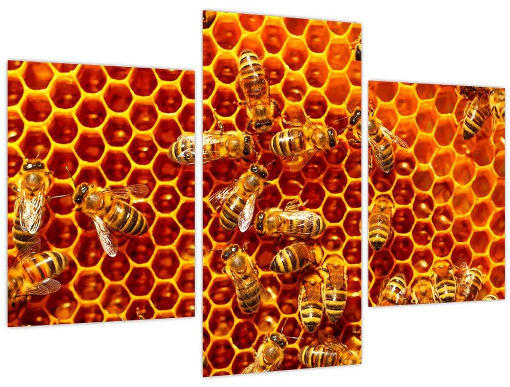 Tablou - Fagure de miere (90x60 cm)