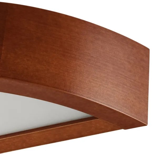 Aplica de perete 1xE27/60W/230V