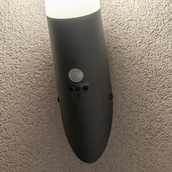 BRILAGI - Lampă de perete pentru exterior cu senzor ELIA 1xE27/20W/230V IP44 antracit