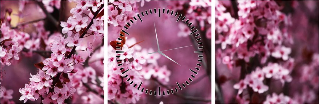 Tablou - Sakura roz (cu ceas) (90x30 cm)