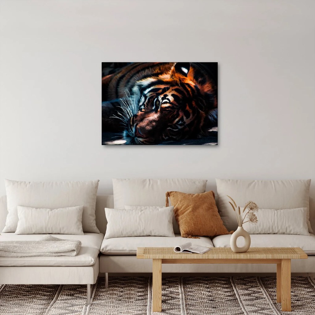 Tablou cu tigrul dormind (70x50 cm)