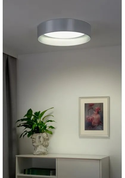 Plafonieră LED Duolla ROLLER LED/24W/230V d. 45 cm argintiu