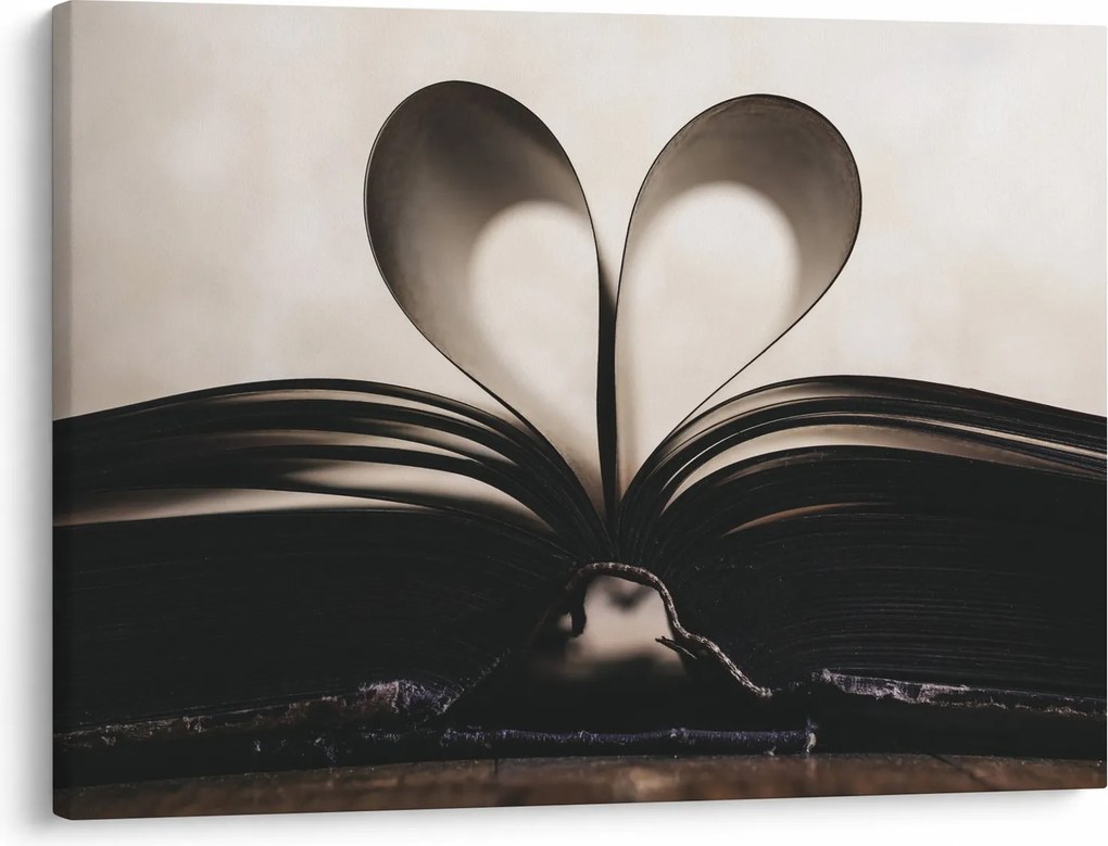 Tablou cu carte (70x50 cm)
