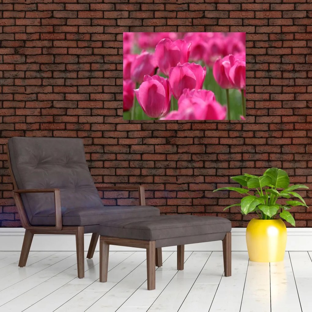 Tablou - Lalele roz (70x50 cm)