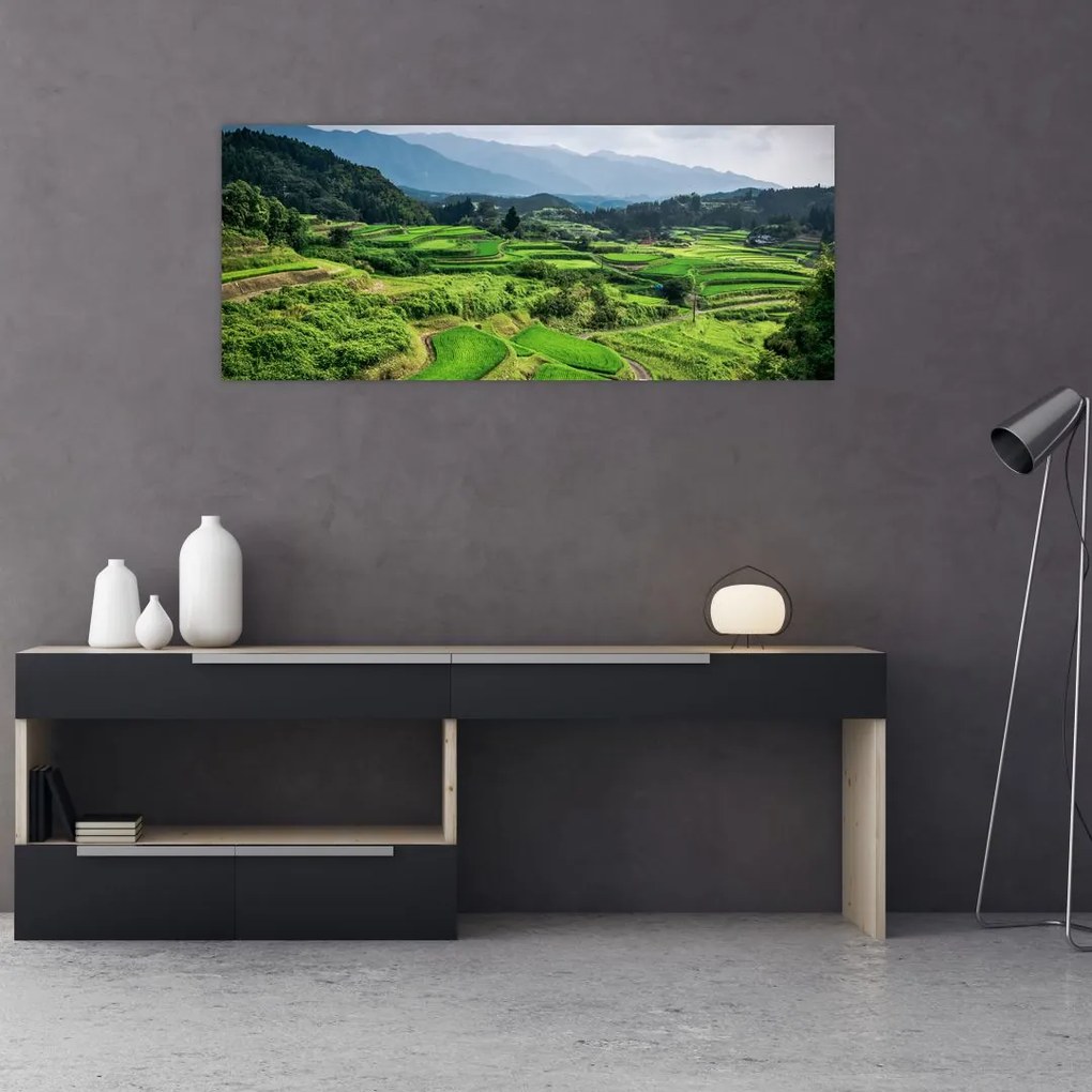 Tablou cu câmp de orez (120x50 cm)