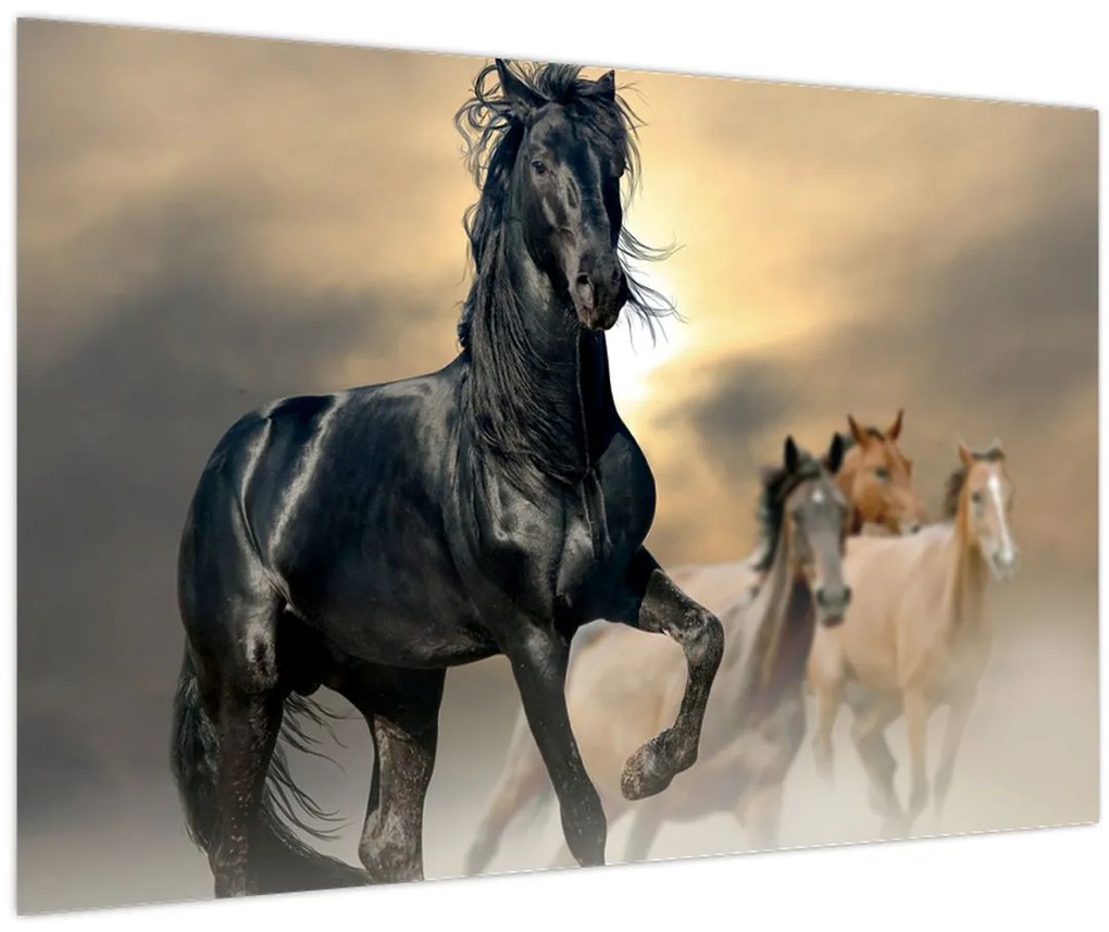 Tablou - Cai (90x60 cm)