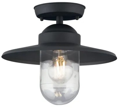 Orion AL 11-1317 - Plafonieră aplicată de exterior EDWARD 1xE27/60W/230V IP44 antracit