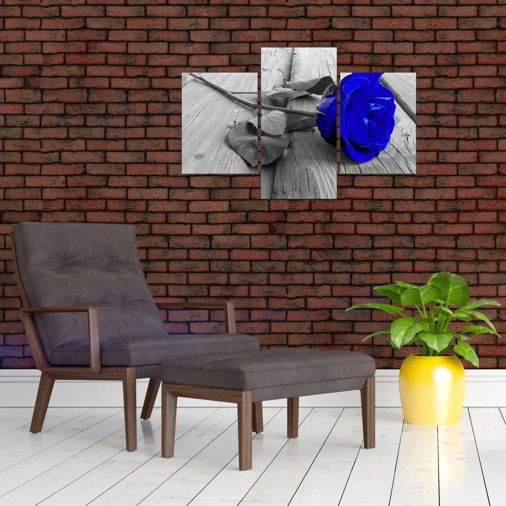 Tablou - Trandafir albastru (90x60 cm)