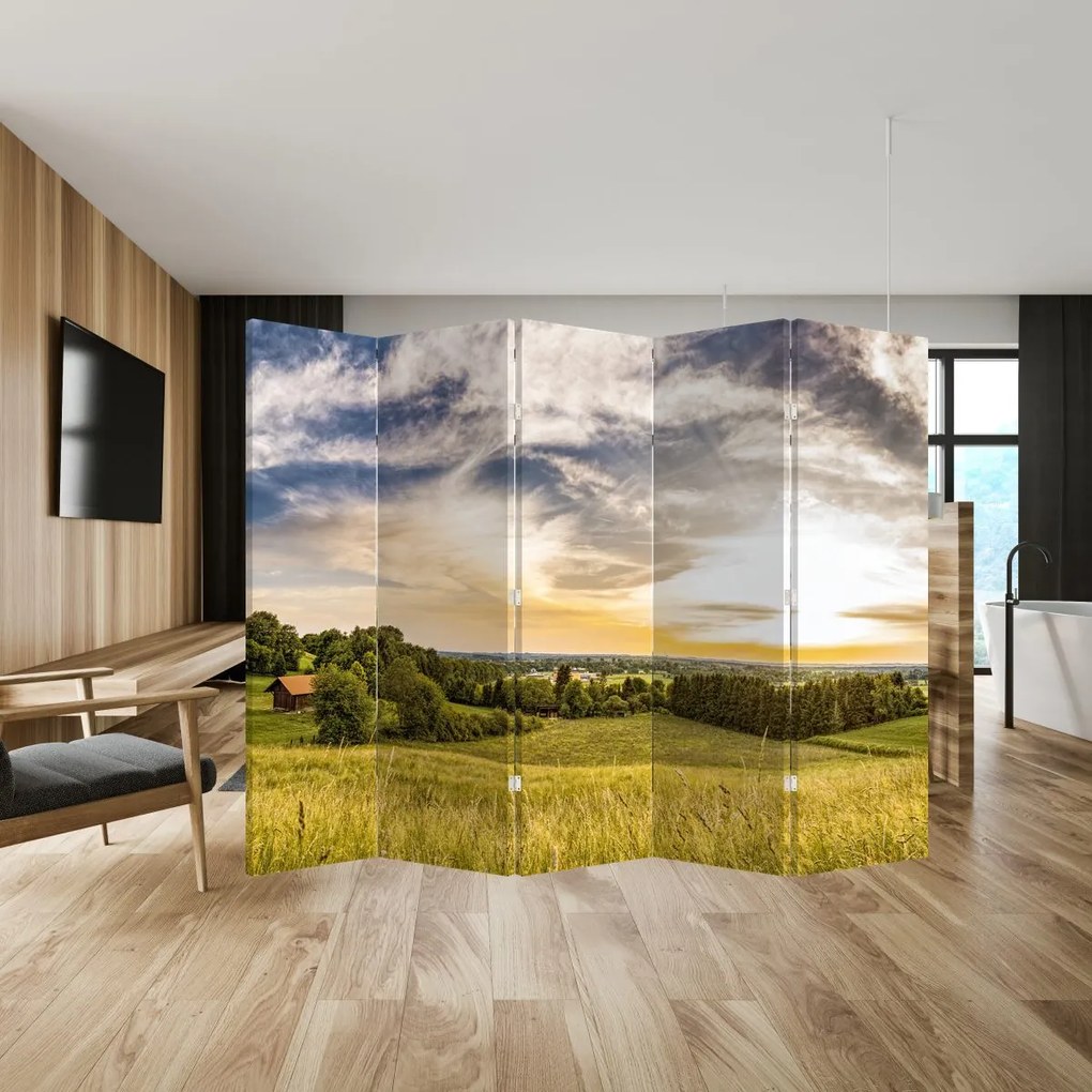 Paravan - Peisaj (210x170 cm)