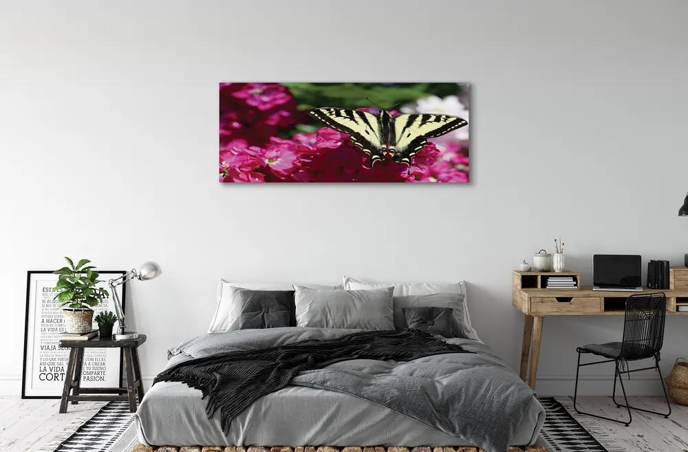 Tablouri canvas flori fluture