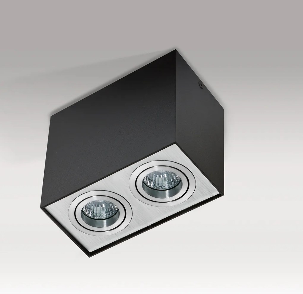 Spot aplicat tavan/plafon stil modern ELOY 2 Black/Alu