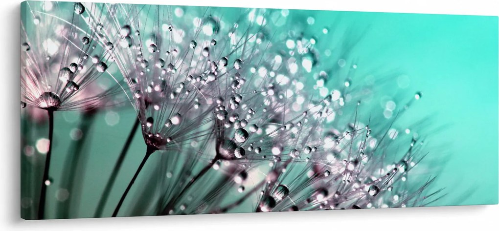 Tablou - planta cu rouă (120x50 cm)