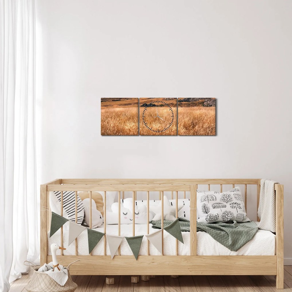 Tablou cu câmp (cu ceas) (90x30 cm)