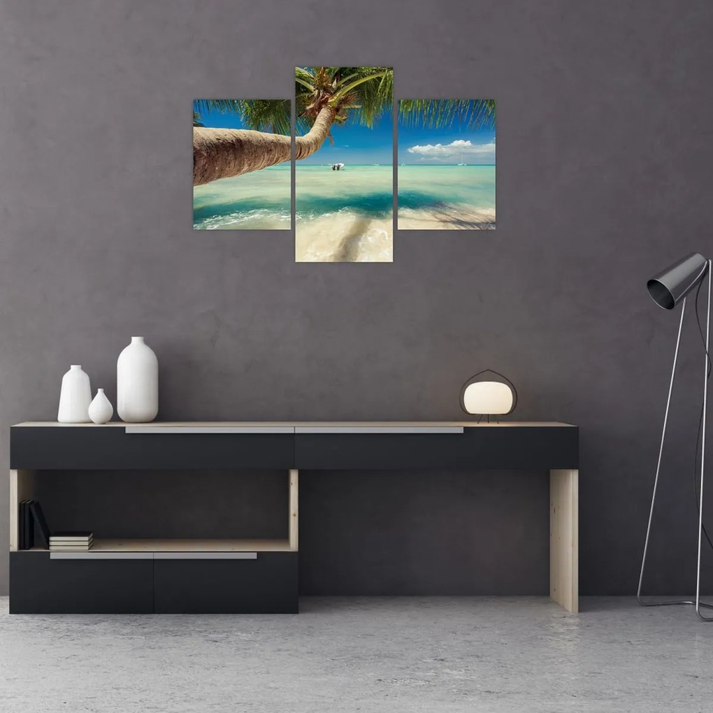 Tablou - Mare curată cu palmier (90x60 cm)