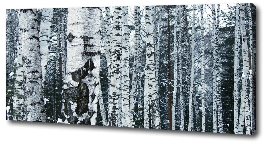 Tablou canvas Mesteacan