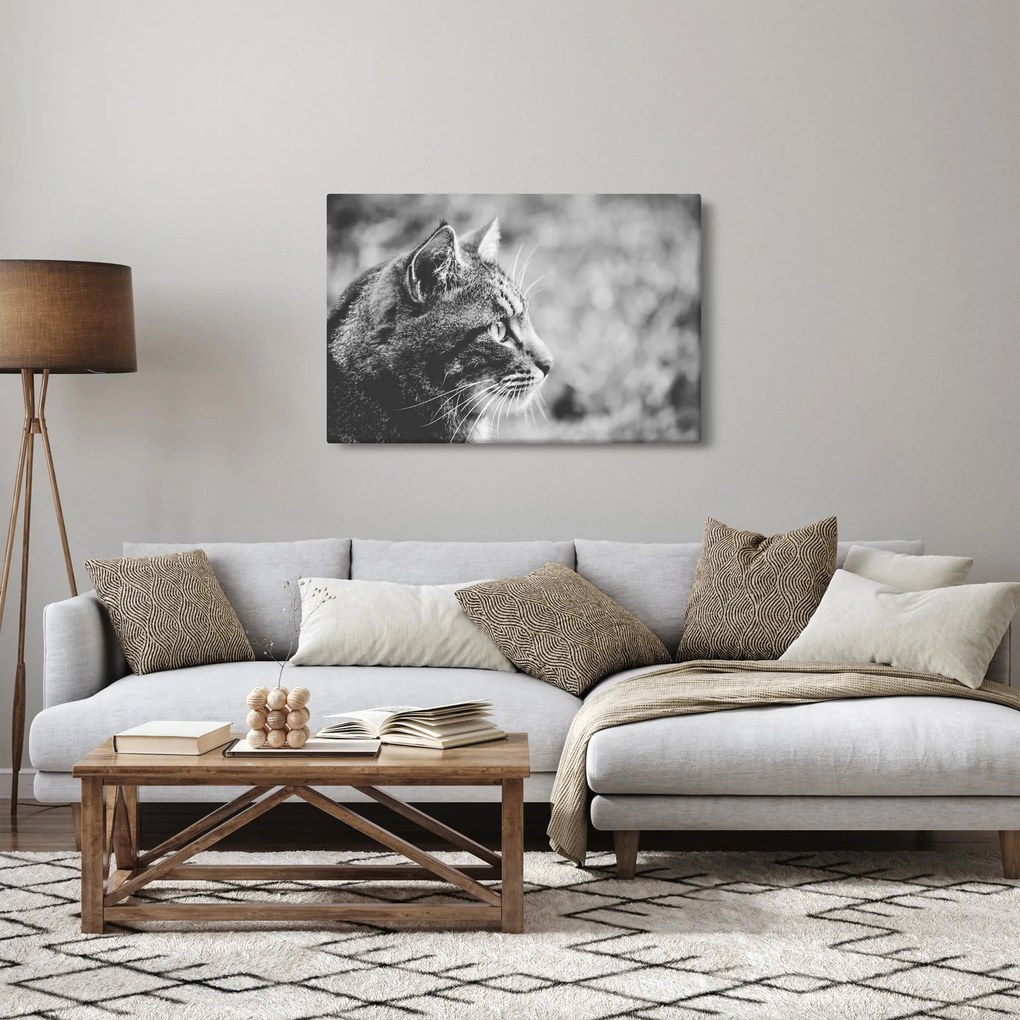 Tablou - Pisica (90x60 cm)