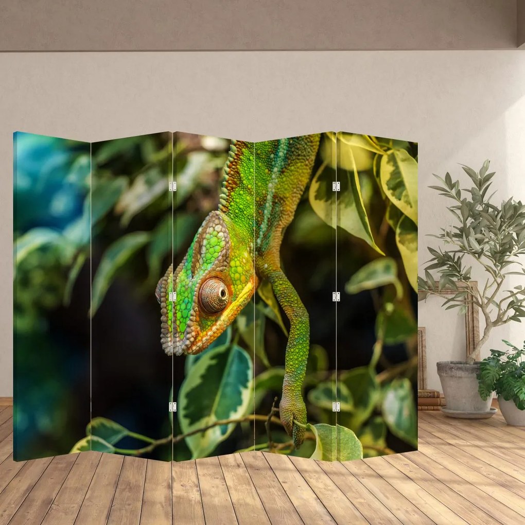 Paravan - Cameleon (210x170 cm)