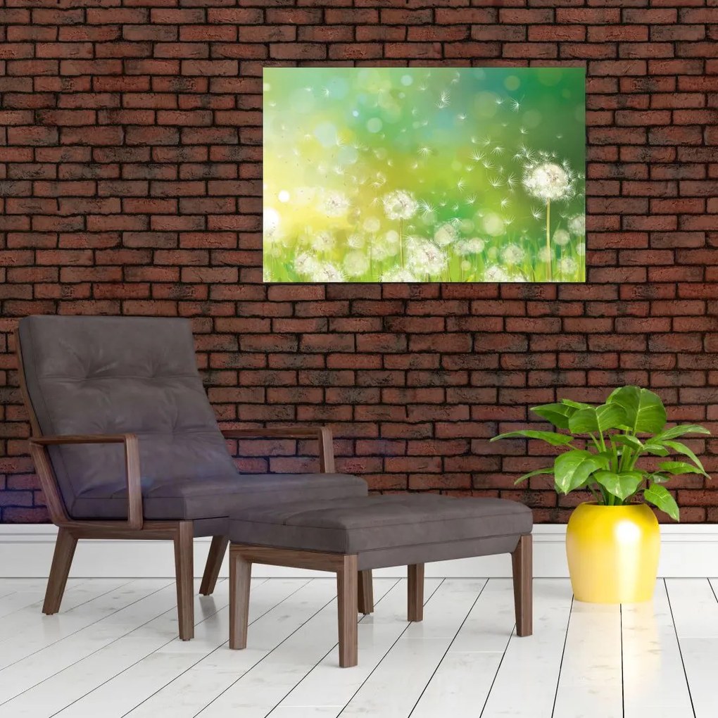 Tablou - Păpădie înflorită (90x60 cm)