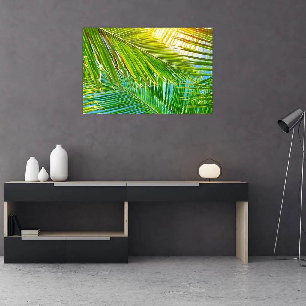 Tablou - Frunze de palmier (90x60 cm)