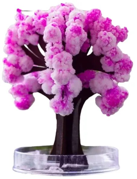 Zaparkorun Arborele magic Sakura