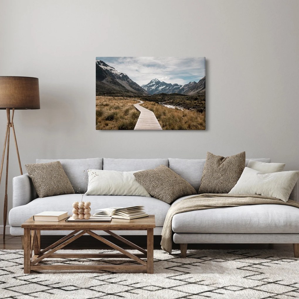 Tablou - Poteca în valea muntelui Mt. Cook (90x60 cm)