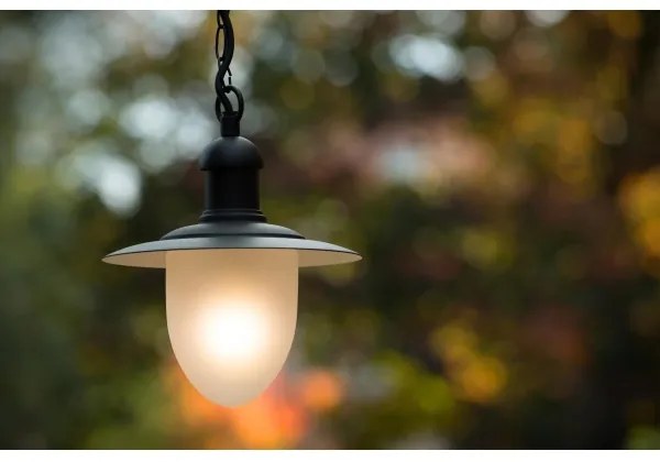 Lucide 11872/01/30 - Lampa suspendata exterior ARUBA 1xE27/60W/230V