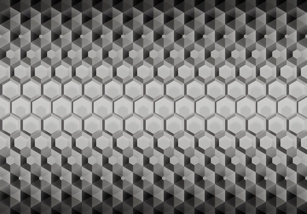 Fototapet - 3D hexagon (254x184 cm)