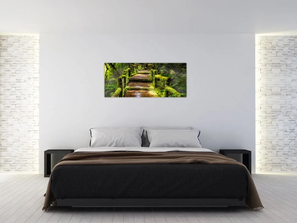 Tablou cu scări într-o pădure tropicală (120x50 cm)