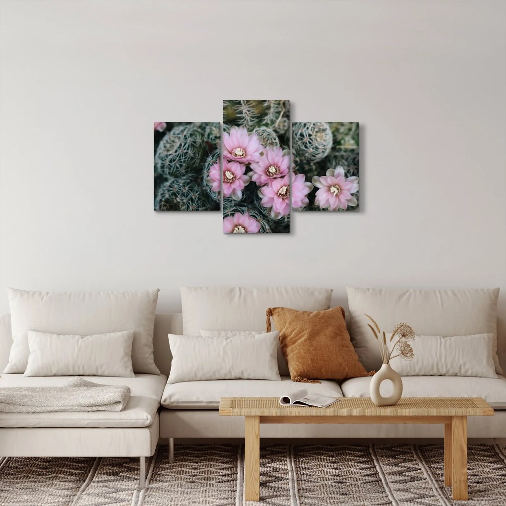 Tablou floare de cactus (90x60 cm)