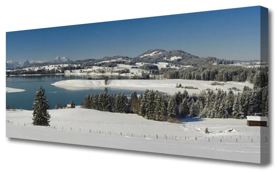 Tablou pe panza canvas Snow Lake Peisaj Forestier Albastru Alb Verde