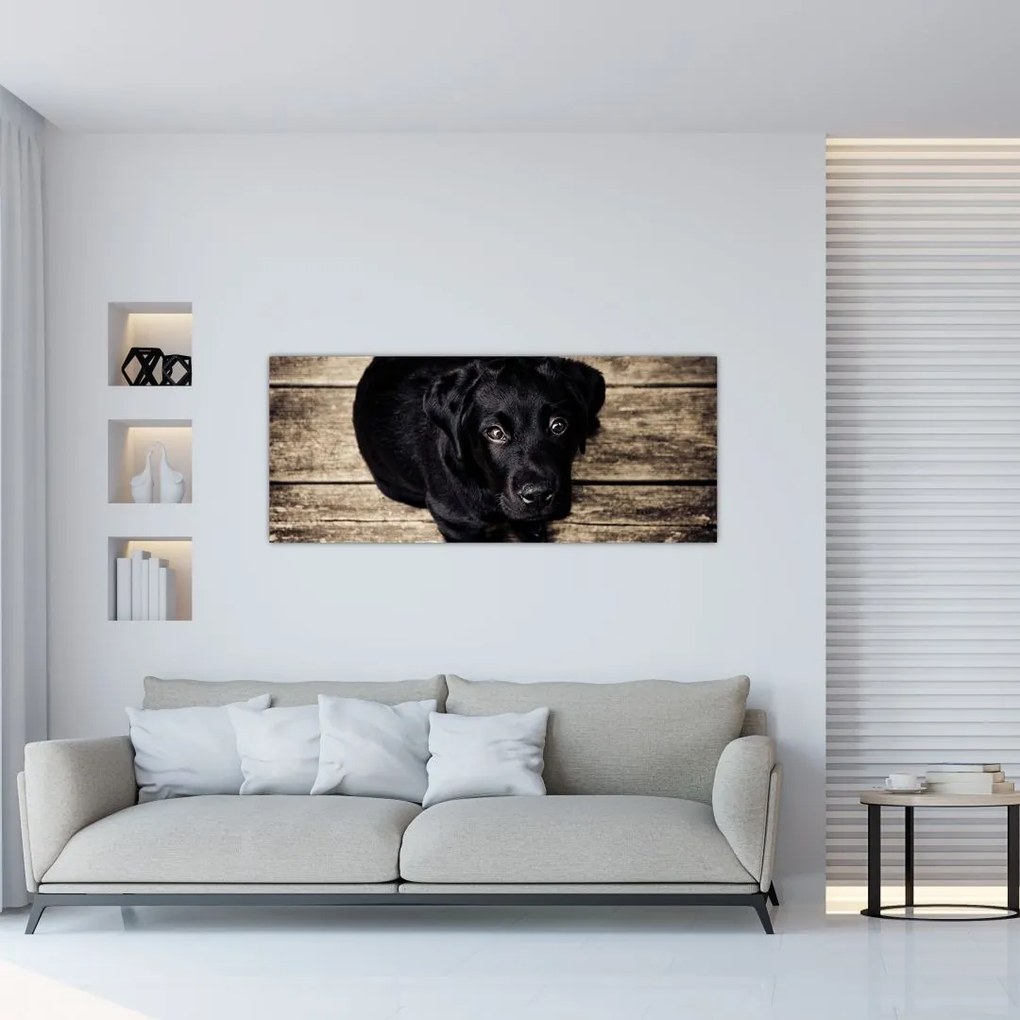 Tablou cu cățeluș negru (120x50 cm), în 40 de alte dimensiuni noi