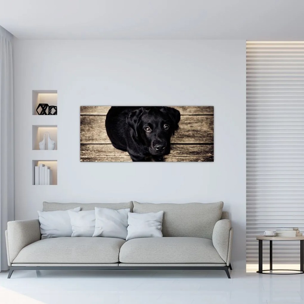 Tablou cu cățeluș negru (120x50 cm)