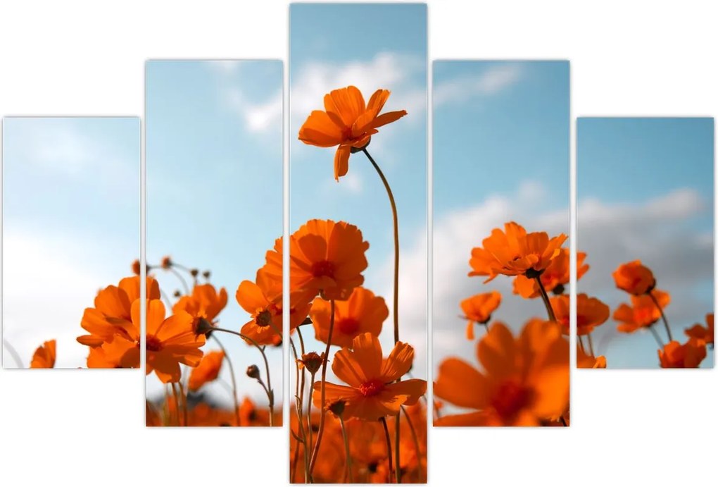 Tablou - Flori sălbatice (150x105 cm)