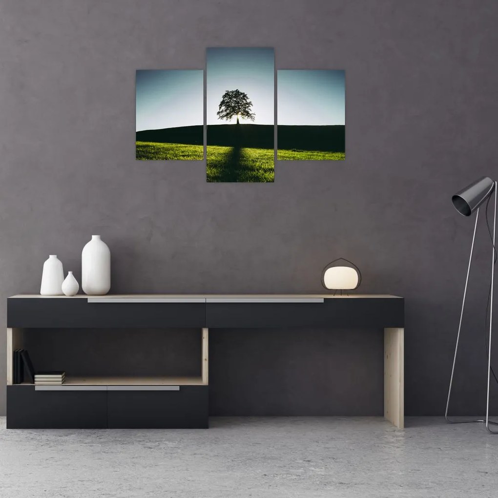 Tablou cu natura - copac (90x60 cm)