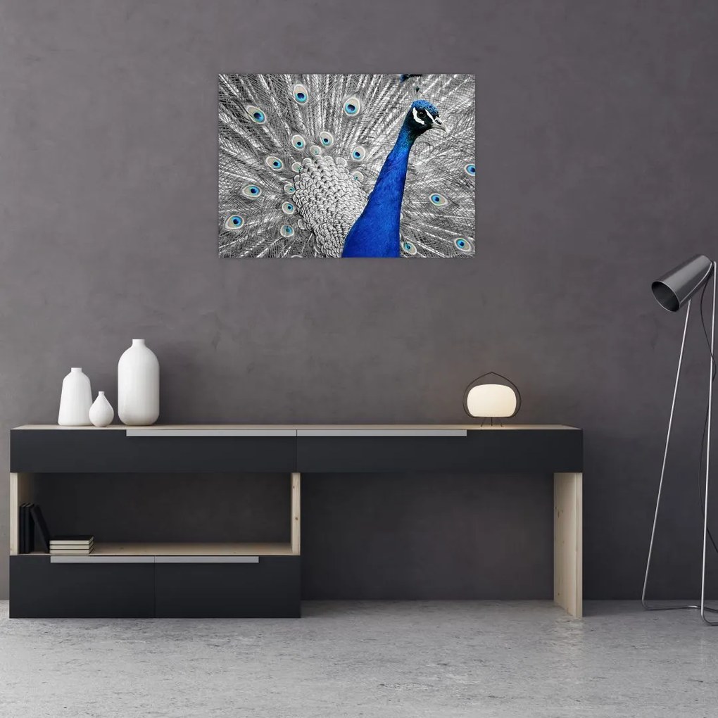 Tablou - păun albastru (70x50 cm), în 40 de alte dimensiuni noi