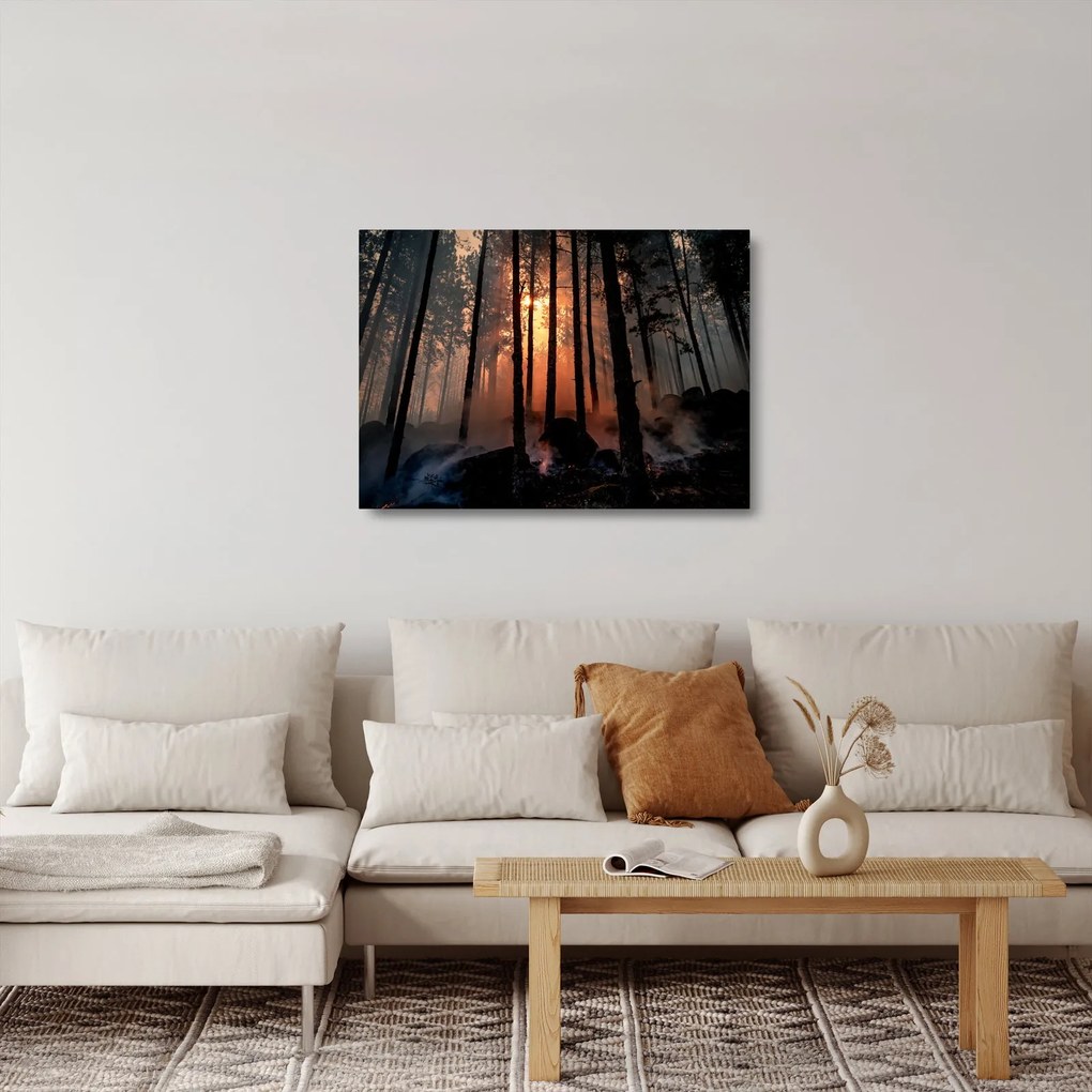 Tablou pe sticlă cu pădure întunecată (70x50 cm)