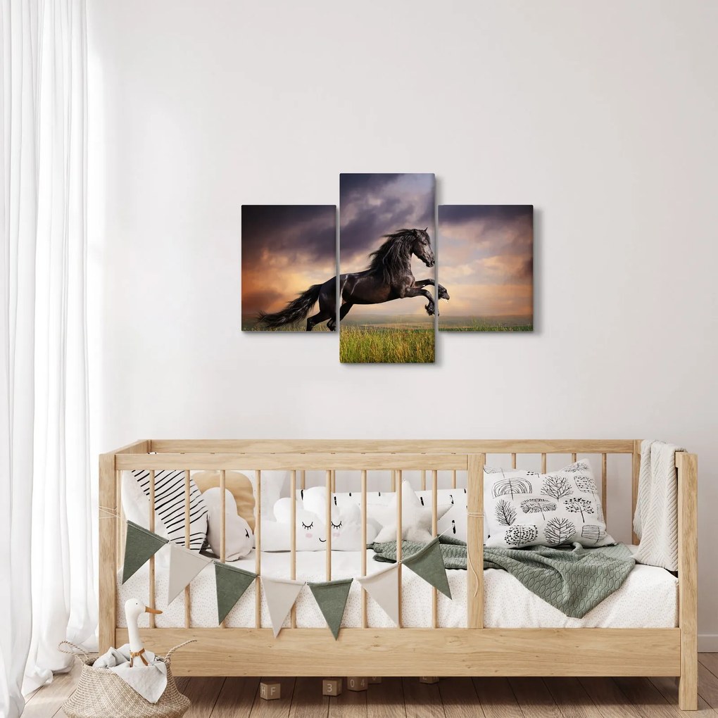 Tablou - Cai (90x60 cm)