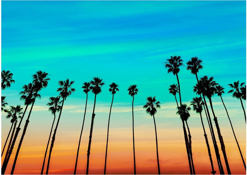 Tablou pe sticlă - California (70x50 cm)
