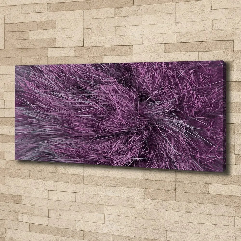 Tablou pe pânză canvas Blană roz