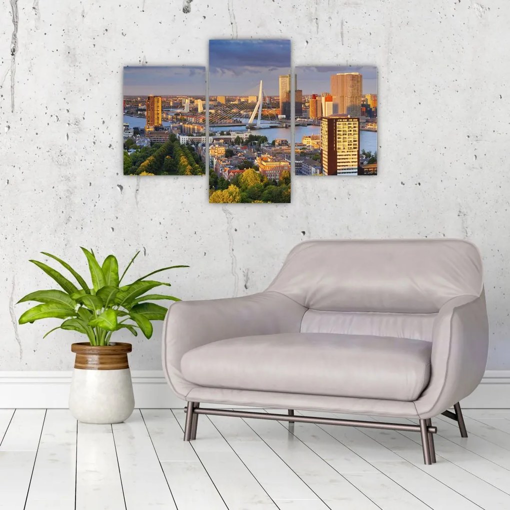 Tablou - Panorama Rotterdamului, Țările de Jos (90x60 cm)