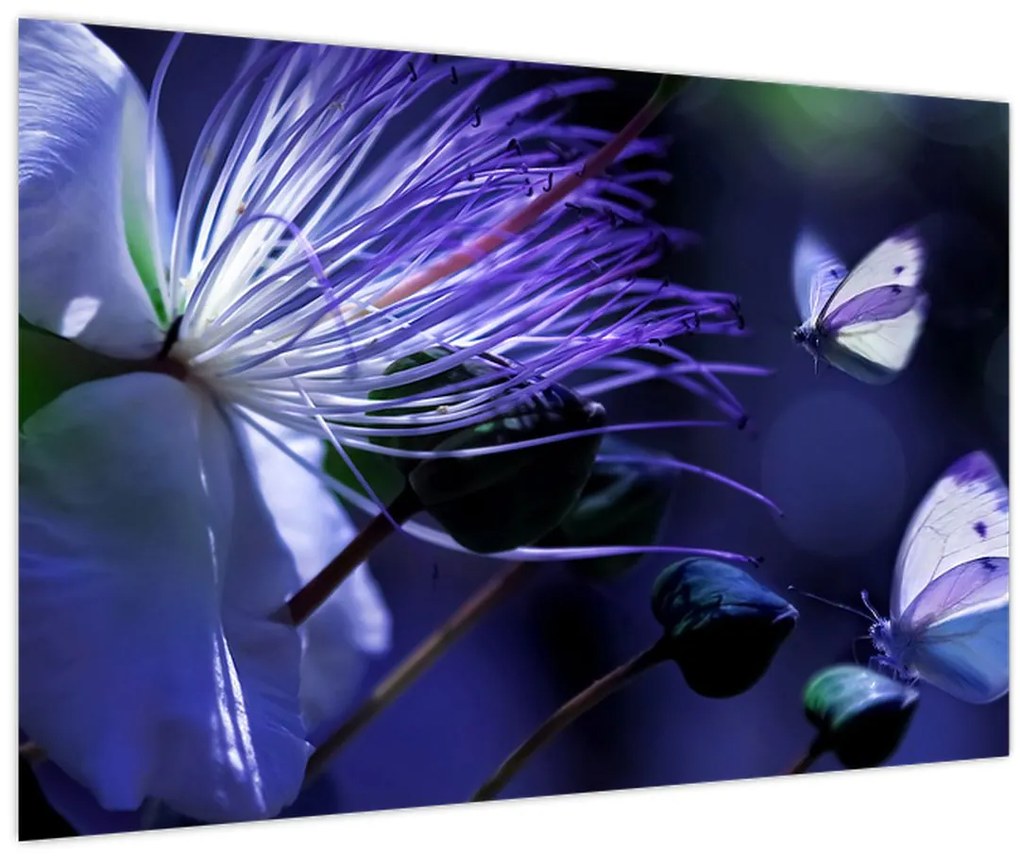 Tablou - Floare tropicală (90x60 cm)