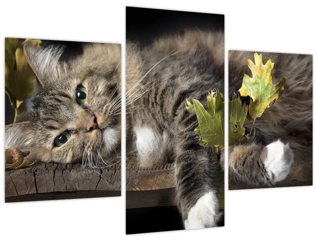 Tablou - Pisica mincinoasă (90x60 cm)
